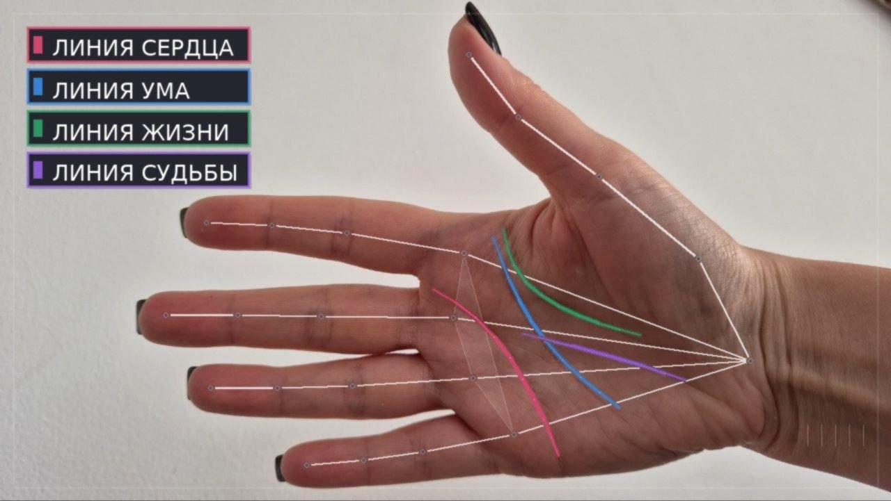 Пример отрисовки линий ладони